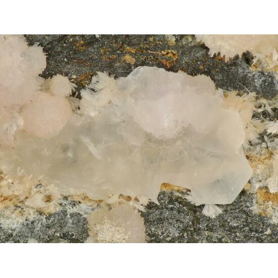 Fluckite & Smamite