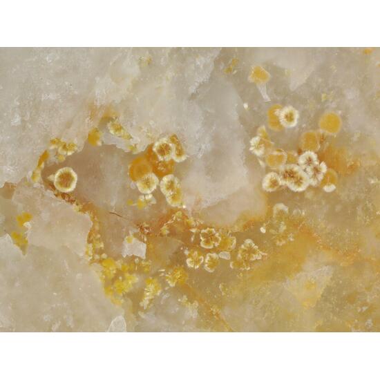 Cacoxenite & Fluorapatite