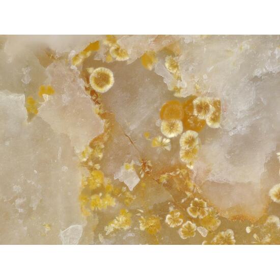 Cacoxenite & Fluorapatite