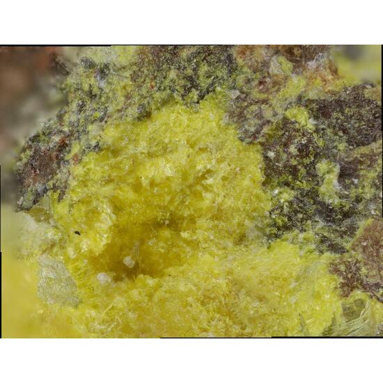 Triangulite