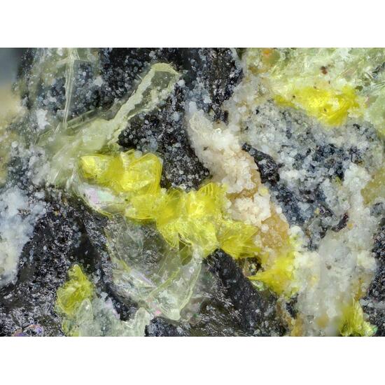 Triangulite