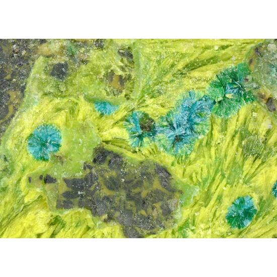Astrocyanite-(Ce) & Kamotoite-(Y)