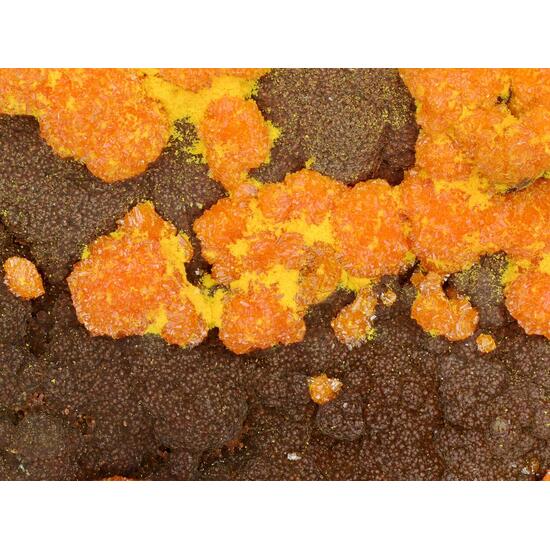 Chervetite Francevillite Curienite & Mounanaite