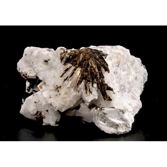 Astrophyllite