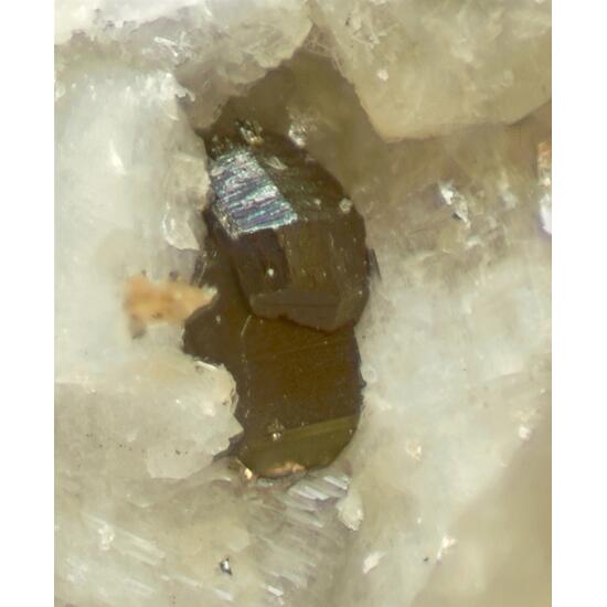 Columbite-(Fe) & Muscovite