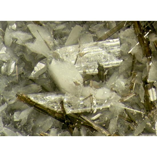 Narsarsukite & Leucosphenite With Richterite Amphibole