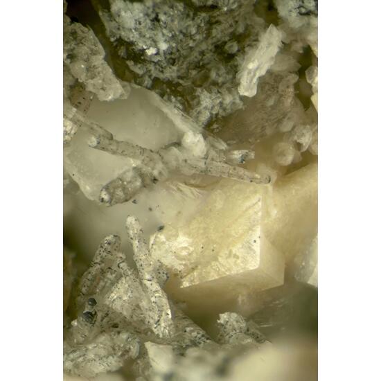 Adamsite-(Y) Psm Shomiokite-(Y) With Bastnäsite Eudidymite Epididymite & Chabazite-Na On Parisite-(Ce) With Donnayite-(Y) & Synchysite-(Ce)