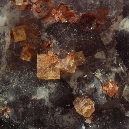 Quartz Var Amethyst & Fluorite