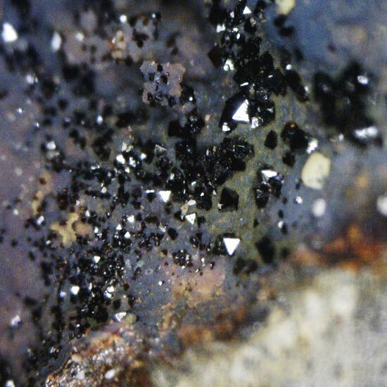 Plumbojarosite