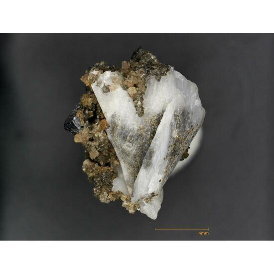 Whewellite