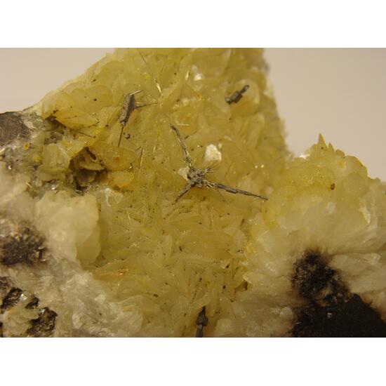 Millerite & Galena On Siderite