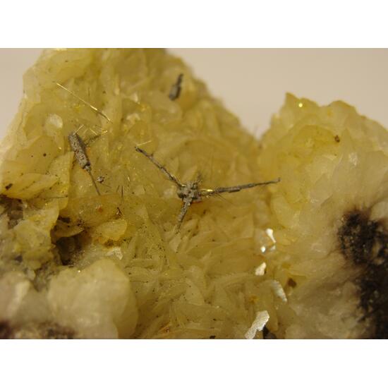 Millerite & Galena On Siderite