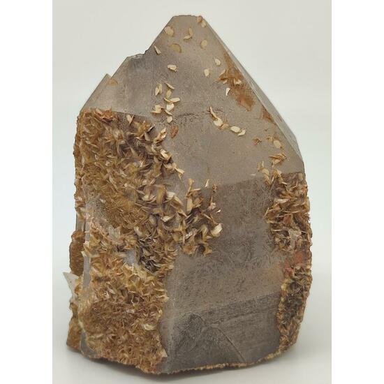 Wolframite Quartz Pyrite