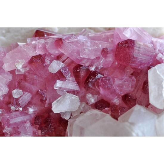 Rubellite