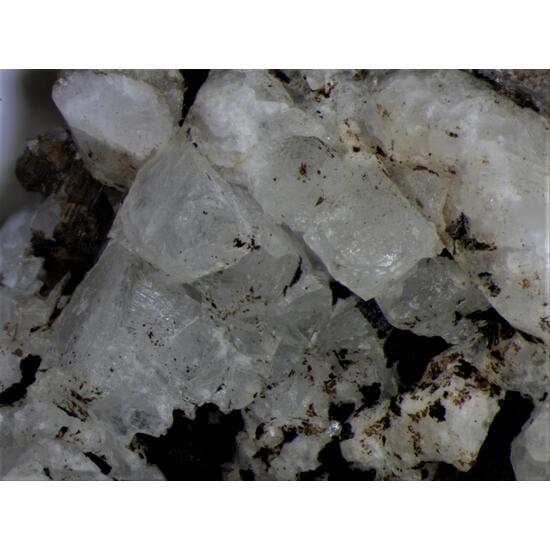 Epididymite