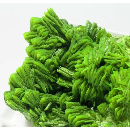 Autunite