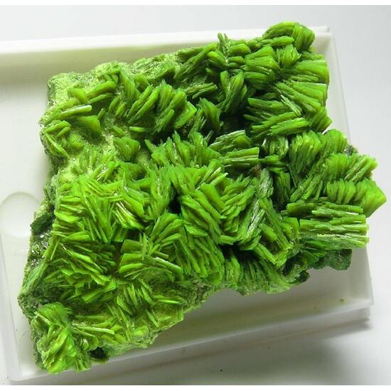 Autunite