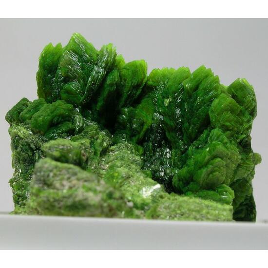 Autunite