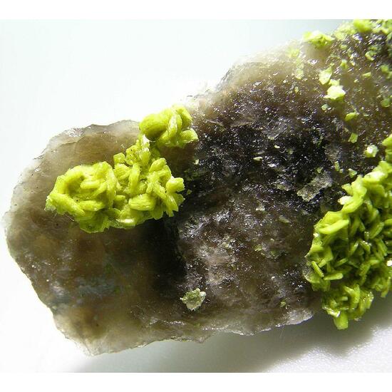 Autunite