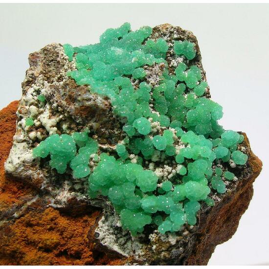 Cuprian Adamite