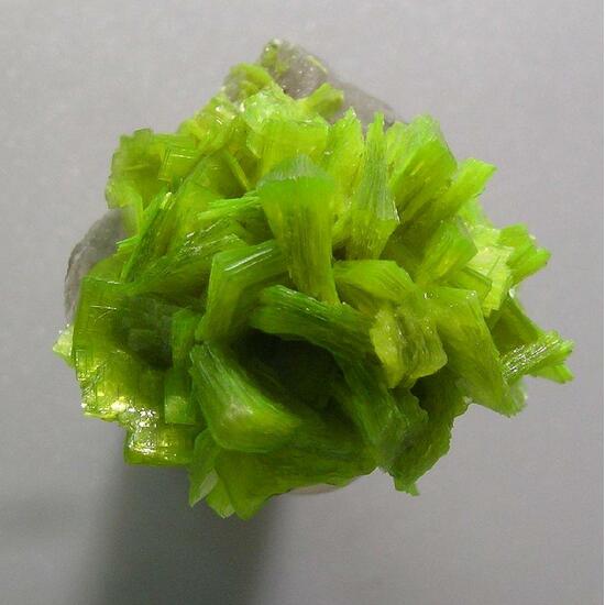 Autunite