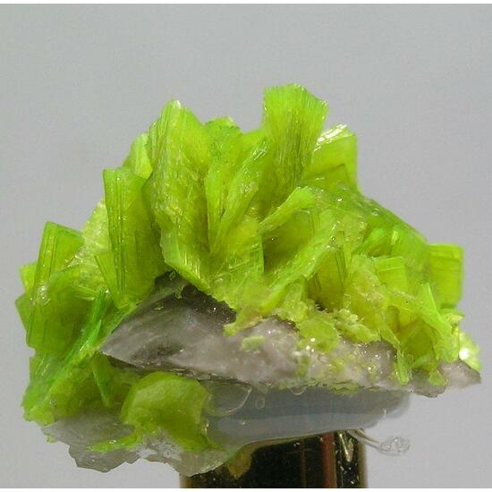 Autunite