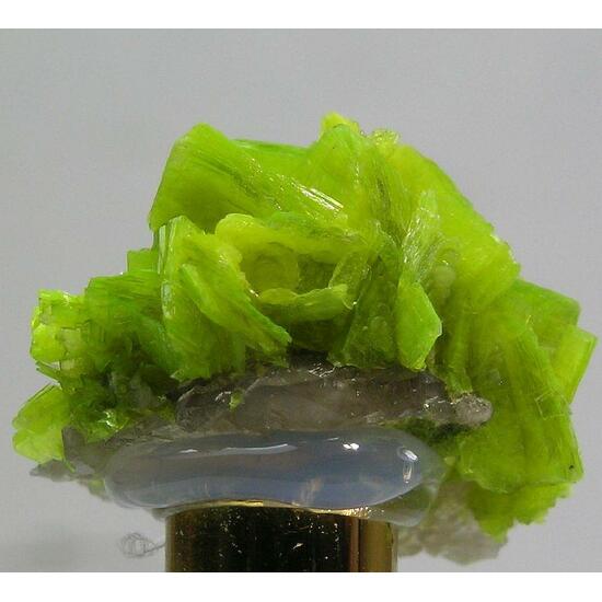 Autunite