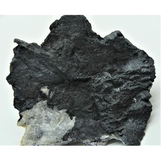 Ludwigite
