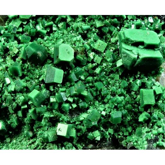 Torbernite