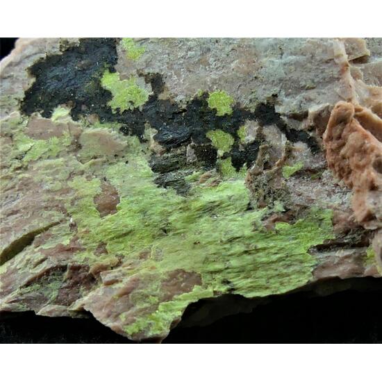 Uranocircite