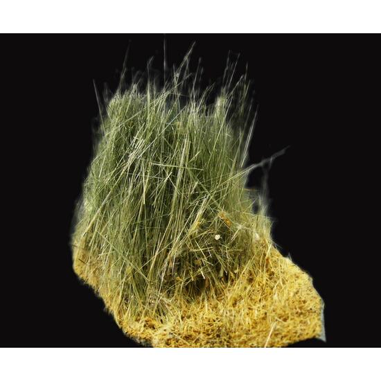 Actinolite