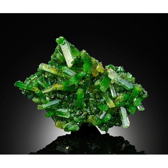 Gypsum Var Selenite