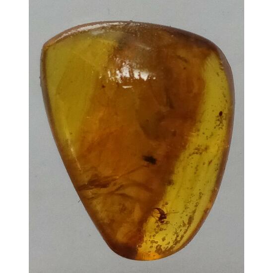 Amber With Inclusions