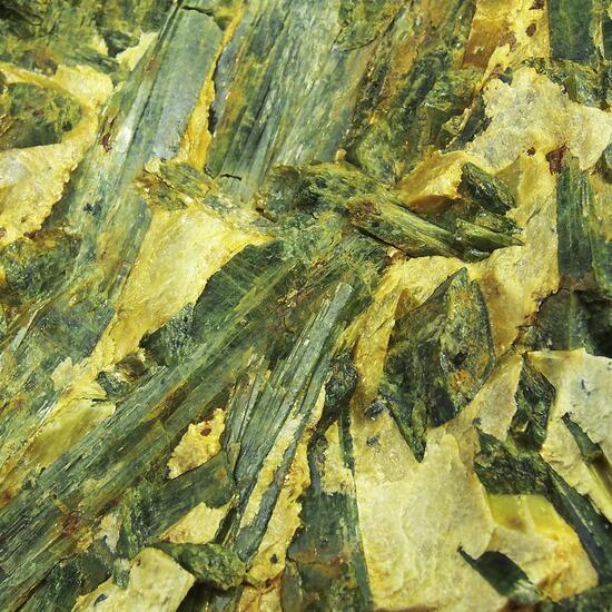 Actinolite