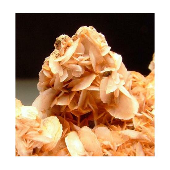 Calcite & Quartz