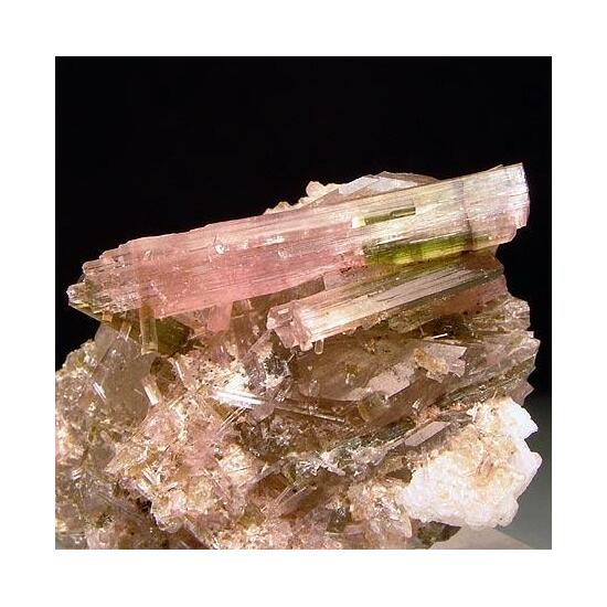 Liddicoatite & Quartz