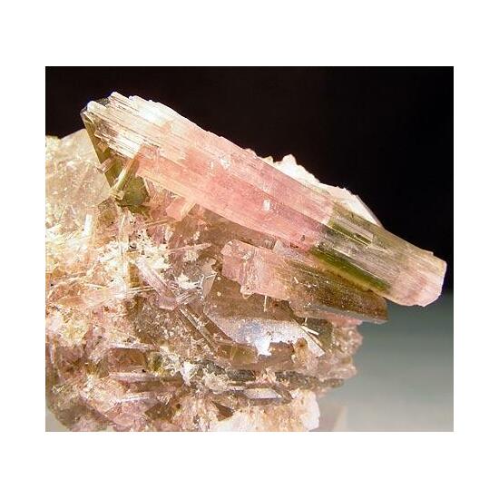 Liddicoatite & Quartz