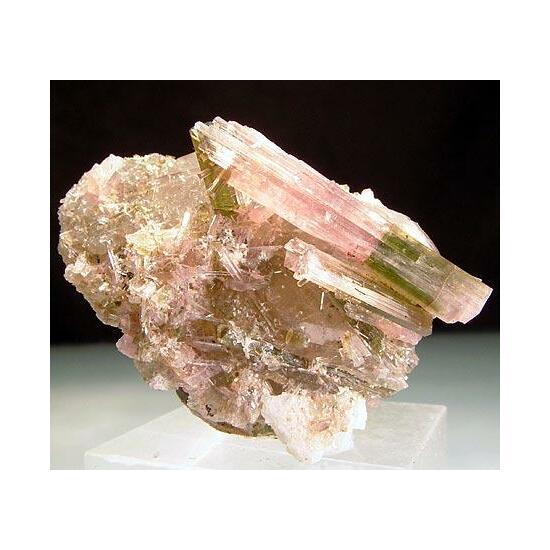 Liddicoatite & Quartz