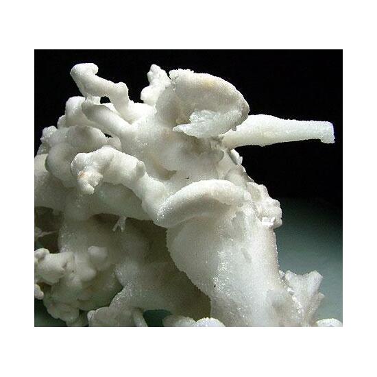 Aragonite Var Flos Ferri