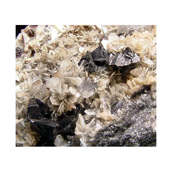 Cassiterite Beryl & Muscovite