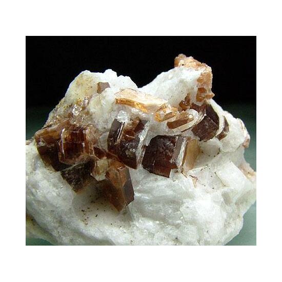 Phlogopite
