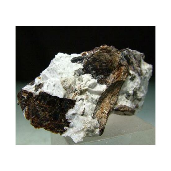 Astrophyllite