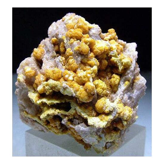 Campylite