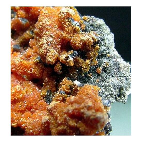 Hutchinsonite & Orpiment