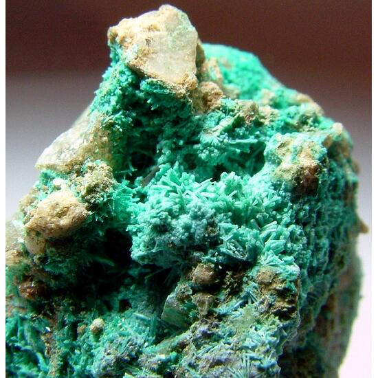 Chrysocolla Psm Botallackite