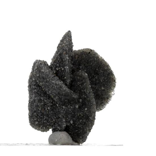 Desert Rose