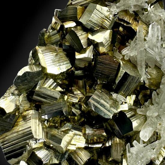 Pyrite & Quartz