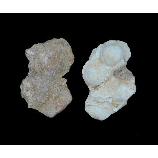 Aragonite