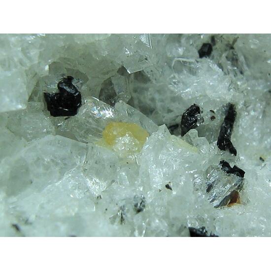 Guarinite
