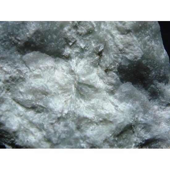 Actinolite